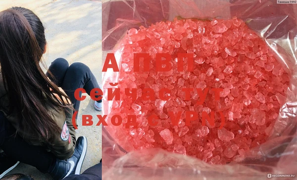 дмт Киреевск